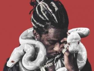 YOUNG THUG – WHAT YOU WANNA DO (FEAT. ANTHONY HAMILTON) [CDQ]