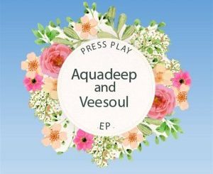Aquadeep & Veesoul Take Over (Original Mix)