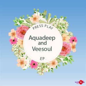 Aquadeep & Veesoul Take Over (Original Mix)