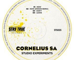 Cornelius SA – Now (Dwson Remix)