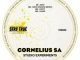 Cornelius SA – Now (Dwson Remix)