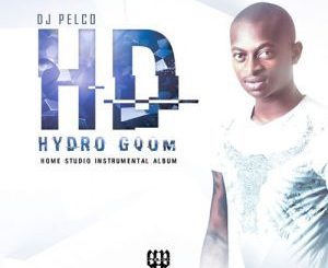 ALBUM: Dj Pelco – Hydro Gqom