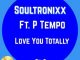 SOULTRONIXX – LOVING YOU TOTALLY (URBAN MUSIQUE REMIX)