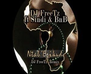 DJ FreeTz, Sindi & BnB - Ntab’ Ezikude (Trevorson_DJZA Remix)