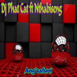 DJ Phat Cat - Ang’safuni Ft. Nthabiseng
