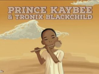 Prince Kaybee & Tronix BlackChild – Talking Flute (Original Mix)