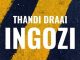 Thandi Draai - Incoming Danger