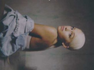 Ariana Grande – In Your Hands (feat. Diplo) [CDQ]