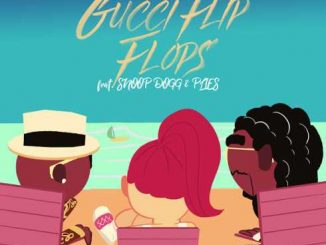 Bhad Bhabie – Gucci Flip Flops (feat. Snoop Dogg & Plies) [Remix] [CDQ]