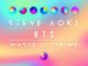 Steve Aoki – Waste It On Me (feat. BTS) (CDQ)