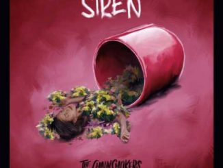 The Chainsmokers & Aazar – Siren (CDQ)