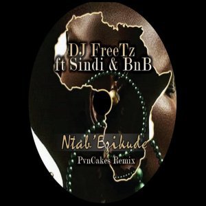 DJ FreeTz - Ntab’ Ezikude (MOtonic Remix) Ft. Sindi & BnB