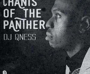 EP: DJ Qness – Chants Of The Panther (Zip File)