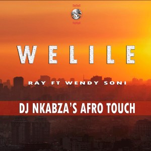 Ray, Wendy Soni - Welile (Dj Nkabza Afro Touch)