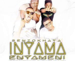 Senzokhaya – Inyama Enyameni Ft. King Yobumnandi, Smart Awtie & DJ Vox