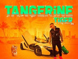 ALBUM: Riff Raff – Tangerine Tiger (Zip File)