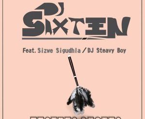DJ Sixteen, DJ Steavy Boy & Sizwe Sigudhla - Feather Duster (Original Mix)