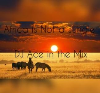 Dj Ace – Africa is Not a Jungle Mix