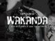 Dj Habias - Wakanda Ft. Puto Prata & Nerú Americano