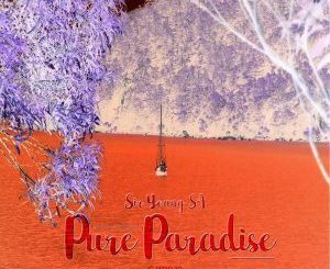 Sir Young SA - Pure Paradise (Original Mix)