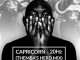 Capricorn – 20Hz (Themba’s Herd Mix)