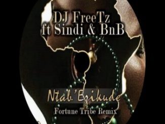 DJ FreeTz – Ntab’ Ezikude (Fortune Tribe Remix)