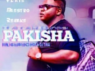 Dladla Mshunqisi – Pakisha (Plate Maestro Remake)