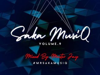 Master Jay – Saka MusiQ Vol 9