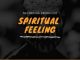 Nestro Da Producer - Spiritual Feeling (Extended Mix)