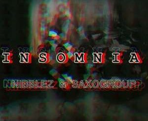 Nibblez & SaxoGroup - Insomnia (Afro Tech)