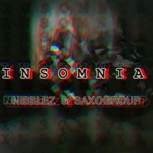 Nibblez & SaxoGroup - Insomnia (Afro Tech)