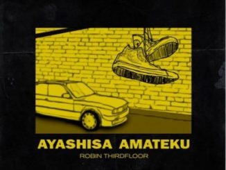 Robin Thirdfloor - Ayashisa Amateku