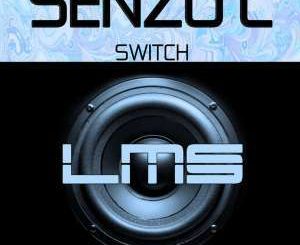 Senzo C Switch (Original Mix)