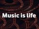 Album: VA – Music Is Life (Zip file)