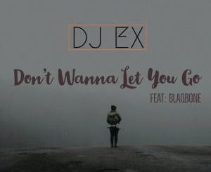 DJ EX - Don’t Wanna Let You Go Ft. Blaqbone