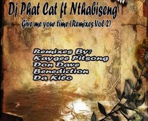EP: DJ Phat Cat – Ulithemba lam Ft. Nthabiseng [Remixes, Pt. 3] (Zip file)