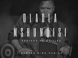Dladla Mshunqisi - Pakisha (Thabzen Bibo Remix)