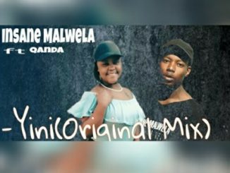 Insane Malwela - Yini (Original Mix) Ft. Qanda
