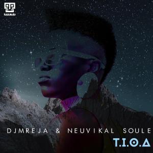 DJMreja & Neuvikal Soule - Afrika’s Celebration (Afro Tech Dub)
