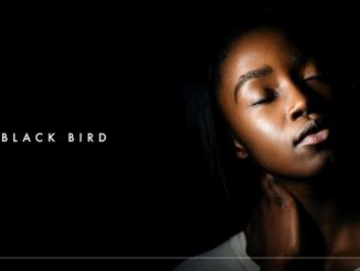 Dennis Cruz & Ian Ludvig – Black Bird (Original Mix)