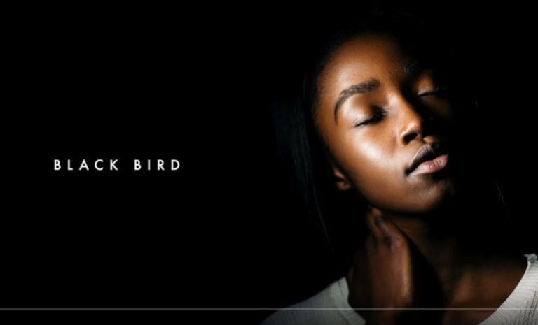 Dennis Cruz & Ian Ludvig – Black Bird (Original Mix)