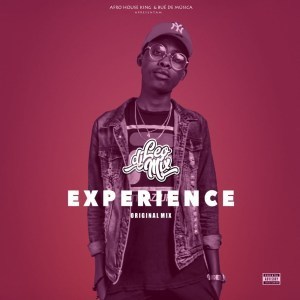 Dj Leo Mix – Experience (Original Mix)
