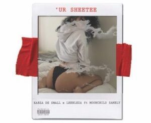Kabza De Small & Leehleza – Ur Sheetee ft. Moonchild Sanelly