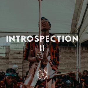 VA – Introspection Part II Album ZIp