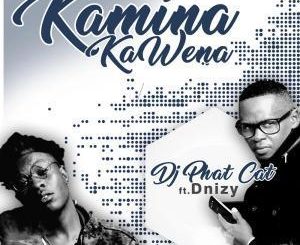 DJ Phat Cat - Kamina Kawena Ft. Dnizy