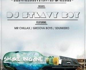 DJ Steavy Boy – Shake Ingane Ft. Mr. Chillax, Groova Boys & Sdunkero