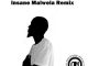 Irie Drums - The Light (Insane Malwela Remix)
