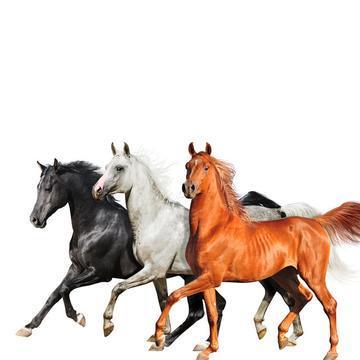 Lil Nas X – Old Town Road (Diplo remix) Ft. Billy Ray Cyrus & Diplo