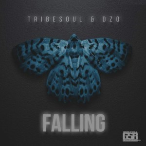 Tribesoul & Dzo - Falling (Original Mix)