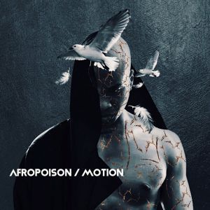 Afropoison – Motion